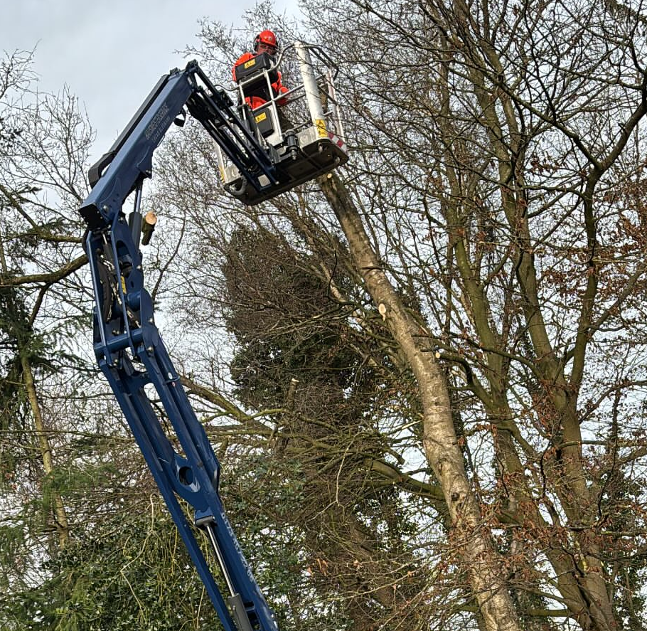Mann schneidet Baumkrone in Höhe mit Kran